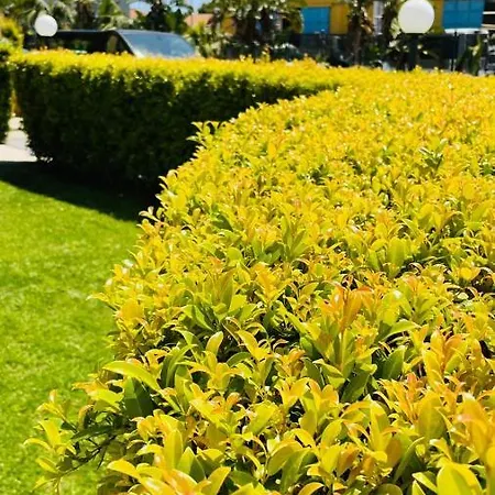 Hotel Milazzo 4*